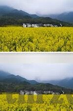91麻豆果冻传媒-数字抚慰品之下，新媒体时代的传统规范与个体需求之间