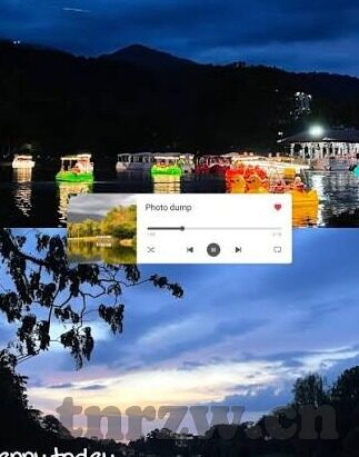 大象传媒app下载3.0.3黄版-大象传媒app下载3.0.3黄版，网络世界的灰色地带与风险