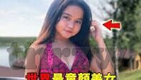 大象传媒的美女-美女与大象传媒，文化与艺术的交织