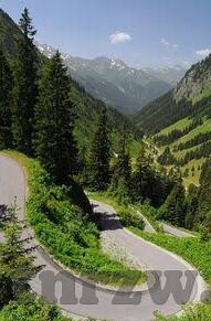 大象传媒回家地址-回家的路，大象传媒的温暖旅程