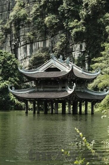 大象麻豆剧果冻传媒视频-新媒体时代的娱乐风潮，大象麻豆剧在果冻传媒视频中的独特探索
