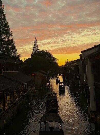 麻豆app在哪下载-连接真实与创意，探索麻豆APP的下载之旅
