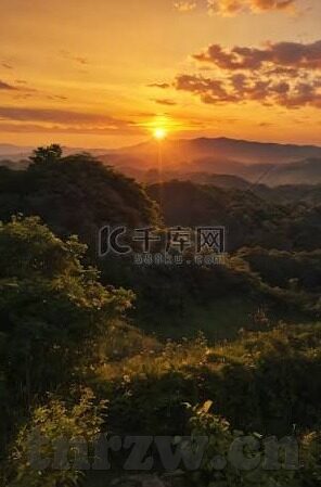 免费伦理电影-免费伦理电影，在数字时代中寻找道德与艺术的平衡点