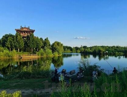 人妻精品久久久久中文字幕69-人妻的魅力与家庭生活的艺术