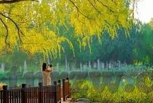 人妻精品一区二区三区-探索网络世界的多元视角，人妻精品一区二区三区的文化现象