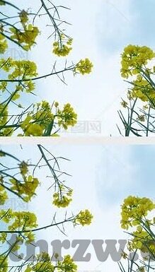糖心app直播下载绿色-无界限的享受，解锁糖心APP直播下载新体验