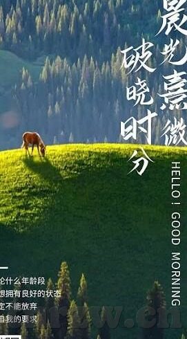 糖心vlog百度-社交媒体新宠，糖心Vlog的百度风潮